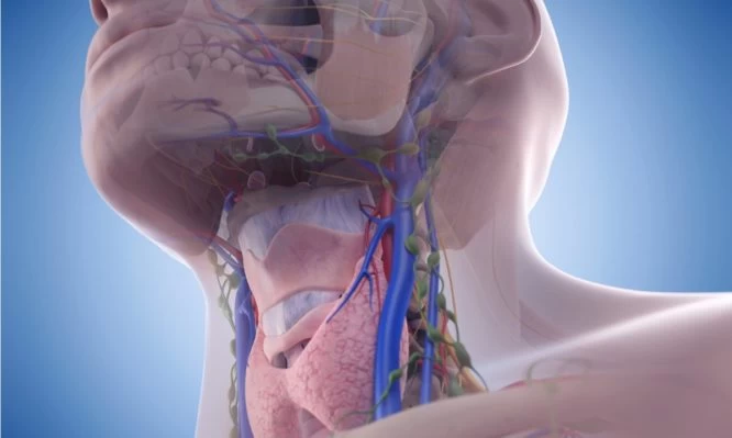 Λέμφωμα – καρκίνος: Προσοχή στα «αθώα» συμπτώματα – Πού να ψηλαφήσετε για την αυτοεξέταση (βίντεο)